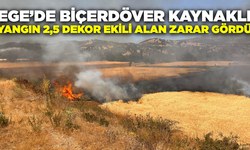 Ege'de çıkan yangında 2,5 dekar ekili alan zarar gördü