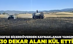 Ege'de biçerdöverden kaynaklanan yangın 30 dekar alanı kül etti