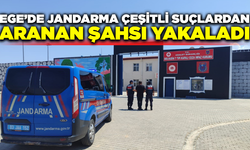 Jandarma çeşitli suçlardan aranan şahsı yakaladı