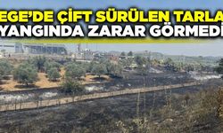 Aydın'da çift sürülen tarla yangında zarar görmedi