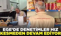 Ege'de denetimler devam ediyor