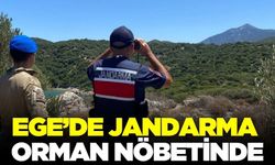 Ege'de ekipler orman nöbetinde!