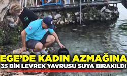 35 bin levrek yavrusu Kadın Azmağı'na bırakıldı