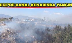 Aydın'da kanal kenarında çıkan yangın geniş alana yayıldı