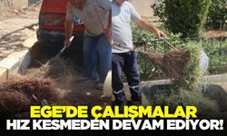 Ege'de kapsamlı temizlik çalışmaları devam ediyor