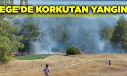 Muğla Köyceğiz'de korkutan yangın