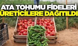 Ege'de milyonlarca ata tohumu fidesi dağıtılıyor