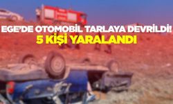 Ege'de otomobil tarlaya devrildi: Çok sayıda yaralı!