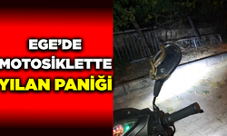 Ege'de park halindeki motosiklette yılan paniği