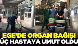 Ege'de Organ bağışı hastalara umut oldu