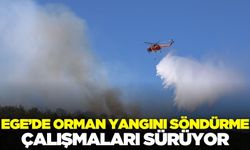 Ege'de yangın söndürme çalışmaları devam ediyor.