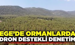 Aydın'da ormanlarda dronlu denetim