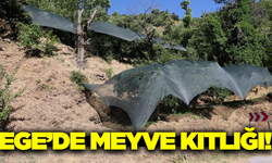 Ege'de son yarım asrın en kıt meyve sezonu!