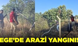 Ege'de tarlada yangın paniği!