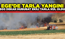 Kütahya'da çıkan yangında 800 dekar hububat tarlası küle döndü