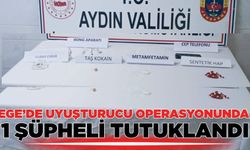 Ege'de uyuşturucu operasyonu: 1 tutuklama