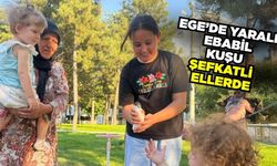 Ege'de doğaseverler ebabil kuşuna sahip çıktı!