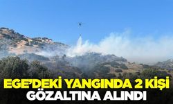 Ege'de yangın: 2 şahıs yakalandı