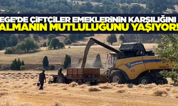 Ege'nin altın sarısı başakları hasat ediliyor!