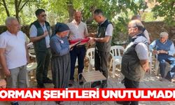Eskişehir'de can veren orman şehitlerinin ailelerine ziyaret