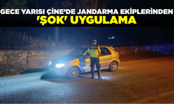 Çine’de jandarmadan gece yarısı 'şok' uygulama