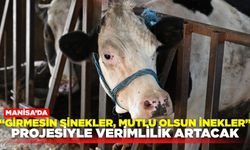 Manisa'da ''Girmesin Sinekler, Mutlu Olsun İnekler'' projesi