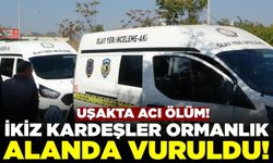 Uşak'ta ikiz kardeşleri ayıran ölüm oldu!