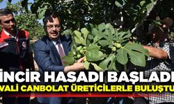 Aydın Valisi Canbolat incir hasadına katıldı