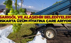 Iskarta üzümde fiyata çare aranıyor