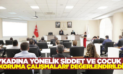 Kütahya'da kadına yönelik şiddet ve çocuk koruma toplantıları gerçekleştirildi