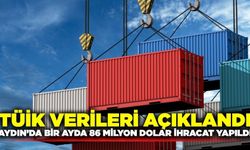 Aydın'ın Haziran ayı dış ticaret rakamları açıklandı