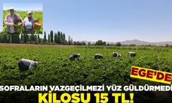 Sofraların vazgeçilmezi yüz güldürmedi!