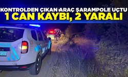 Uşak’ta otomobil şarampole devrildi: 1 ölü, 2 yaralı