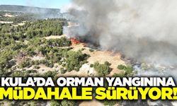 Kula'da orman yangını: Ekipler seferber oldu!
