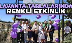 Afyonkarahisar'da mor hasat: lavanta tarlalarında renkli etkinlik