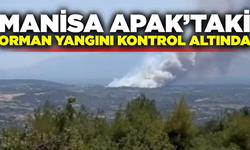 Manisa'daki orman yangını kontrol altında