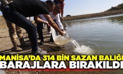 Demirci'de barajlara yavru sazan balıkları bırakıldı