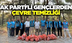 Manisa'da AK Partili gençlerden çevre temizliği