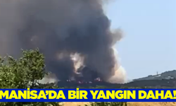 Manisa'da alevler gökyüzünü kapladı