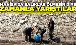 Soma'da balıklar ölmesin diye kurumlar bir araya geldi