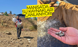 Manisa'da baraj ve göletlere 404 bin sazan yavrusu bırakıldı