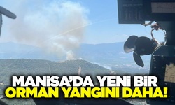 Manisa'da yeni bir orman yangını daha!