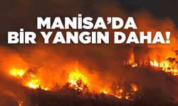Manisa Köprübaşı'nda Tarım Arazisinde Yangın!