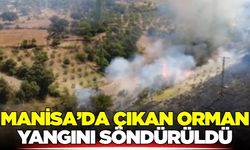 Manisa'daki orman yangını söndürüldü!