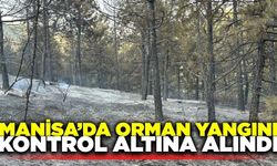Manisa'da çıkan orman yangını kontrol altına alındı