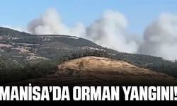 Manisa'da orman yangını