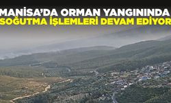 Manisa'da yangın paniği!