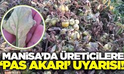 Tarım ve Orman Müdürlüğü Manisa'daki üreticileri uyardı!