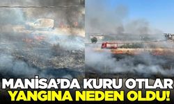 Manisa'da yangın!
