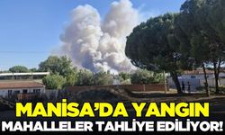 Manisa'da yangın: 3 mahalle tahliye ediliyor